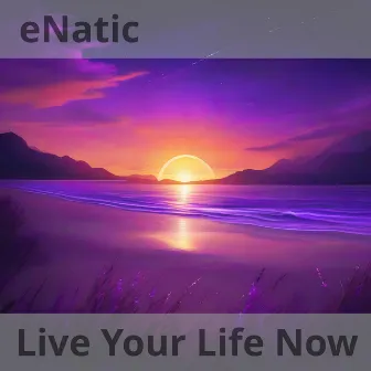 Live Your Life Now by eNatic