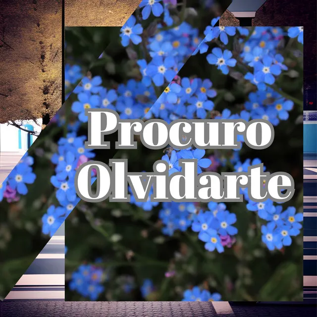 Procuro Olvidarte