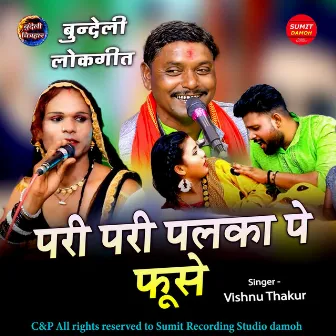 Pari Pari Palka Pe Fuse by Vishnu Thakur