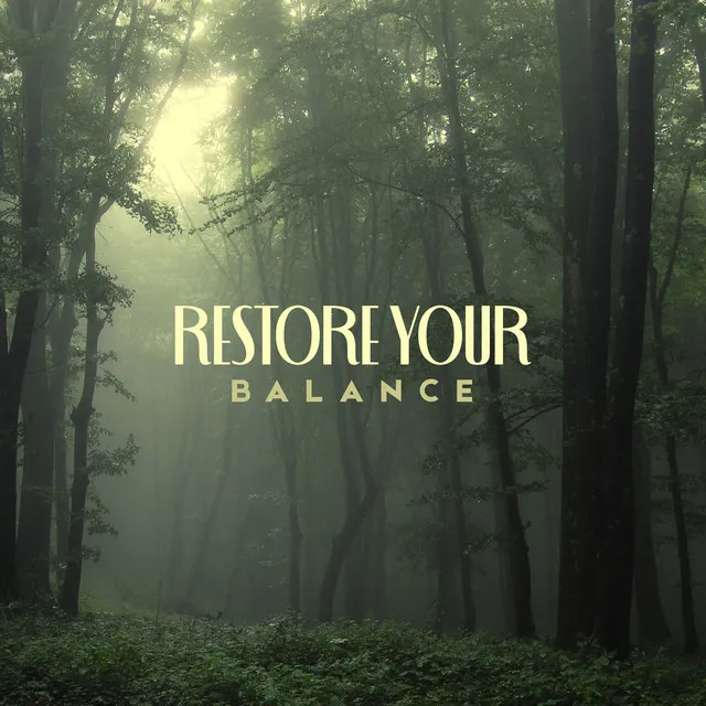 Restore Your Balance: Meditation with Forest and Jungle Sounds