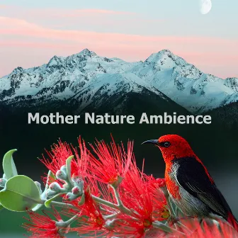 Mother Nature Ambience by Nature Sounds Conservatory