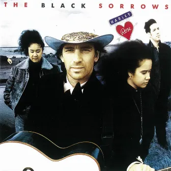 Harley and Rose by The Black Sorrows