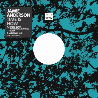 Time Is Now (Remix) by Jamie Anderson