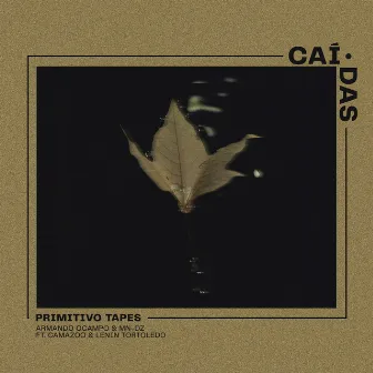 Caídas by PRIMITIVO TAPES