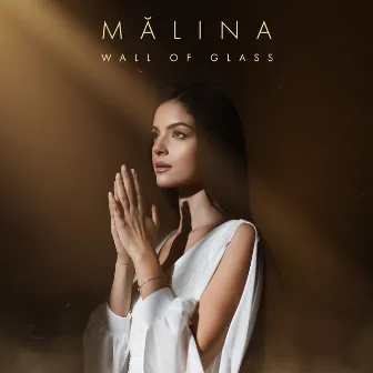 Wall of Glass by MĂLINA