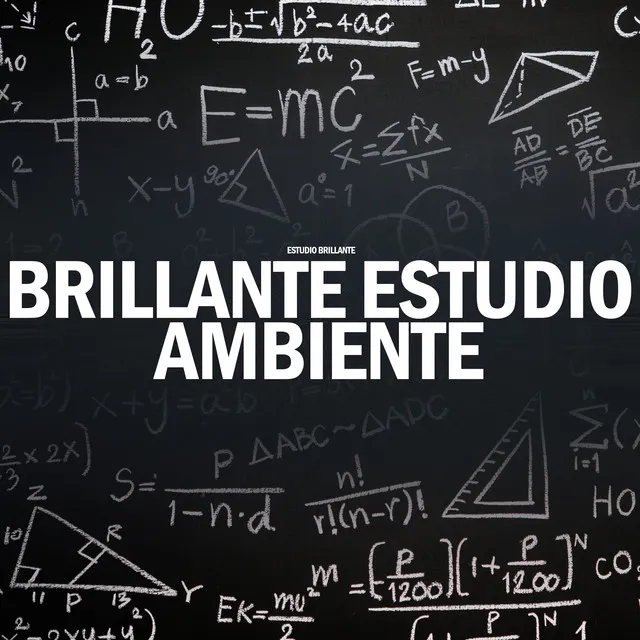 Brillante Estudio Ambiente