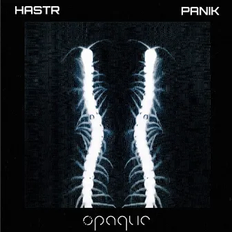 Panik by HASTR