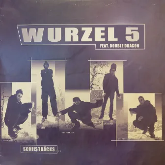 Schii$tracks by Wurzel 5