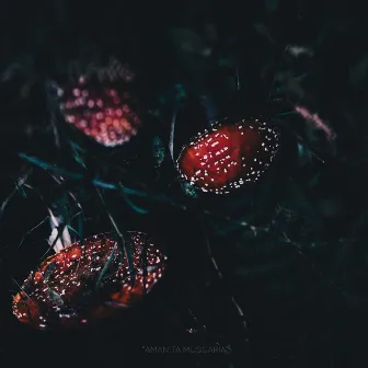 Amanita Muscaria by Candy Coup