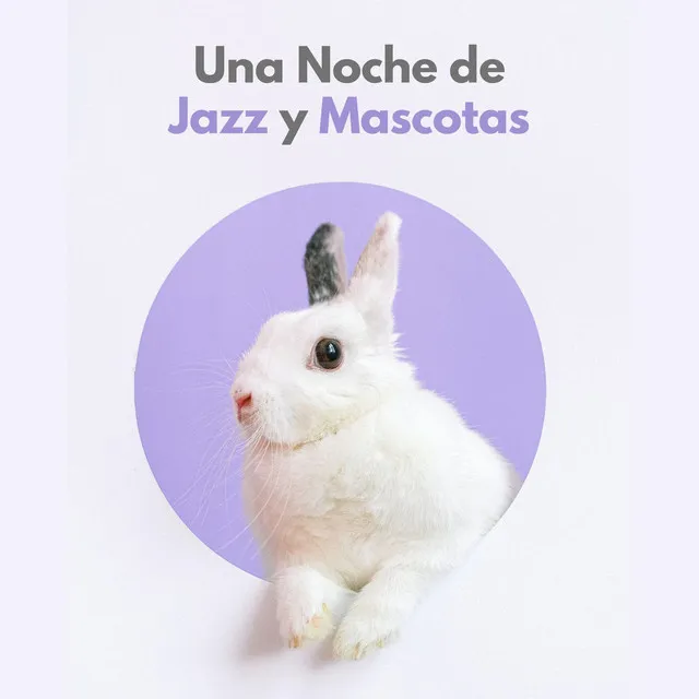 Una Noche De Jazz Y Mascotas