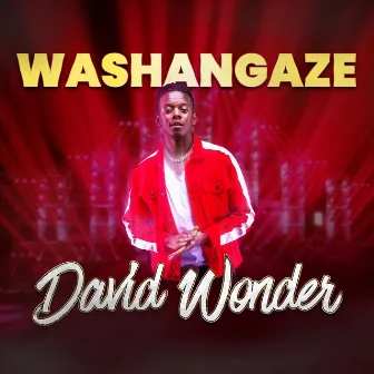 Washangaze by David Wonder