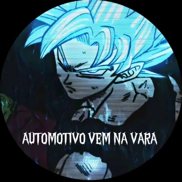 AUTOMOTIVO VEM NA VARA