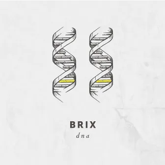 DNA by Brix