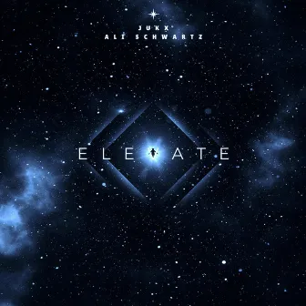 Elevate by Ali Schwartz