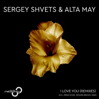 I Love You (Remixes) by Alta May