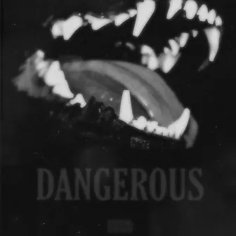 Dangerous by Josif Grey