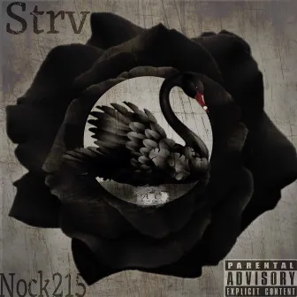 Black Swan by Strv