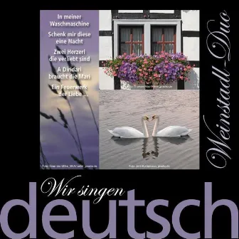 Wir singen deutsch - In meiner Waschmaschine by Weinstadl-Duo