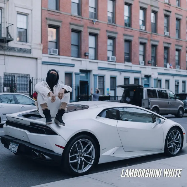 Lamborghini White