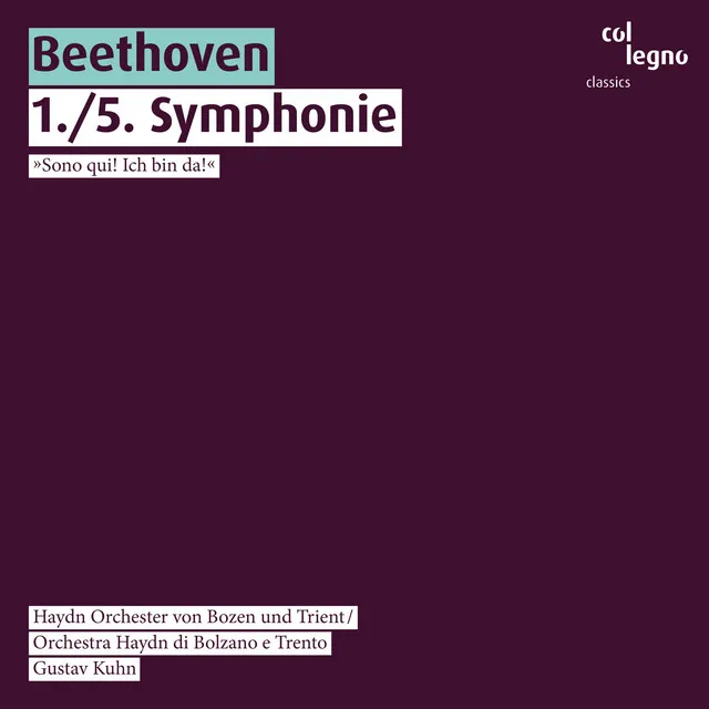 Symphonie No. 1 in C-Dur, Op. 21: I. Adagio Molto - Allegro Con Brio