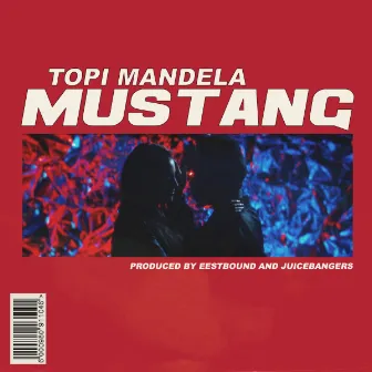 Mustang by Topi Mandela