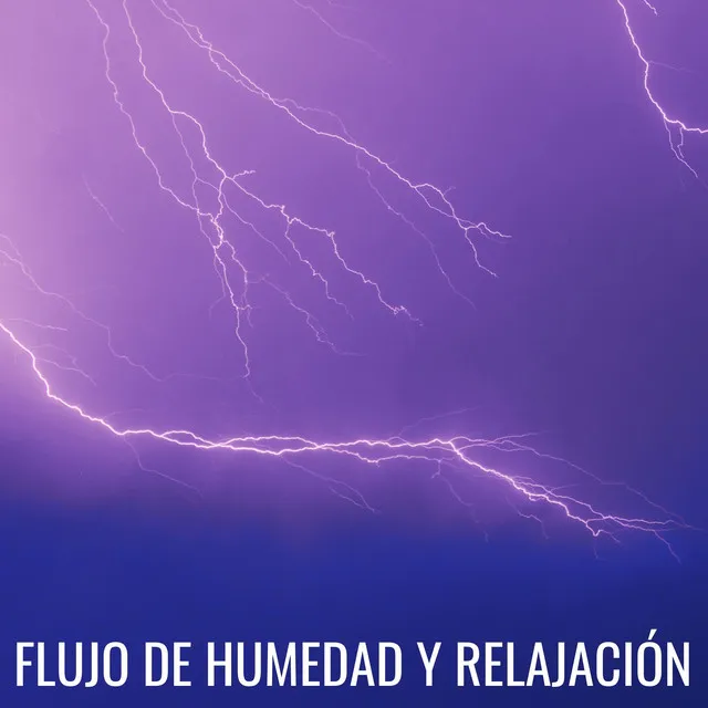 Flujo De Humedad Y Relajación