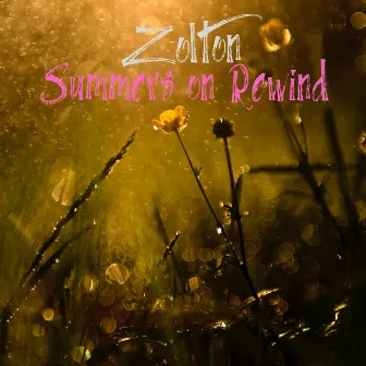 Summers on Rewind by Zolton