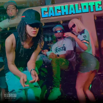 Cachalote by FreDR Produciendo