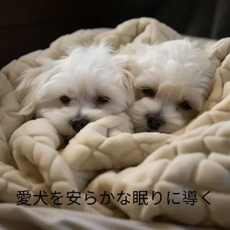 愛犬を安らかな眠りに導く：安らかな犬のための就寝時のメロディー by 犬の音楽