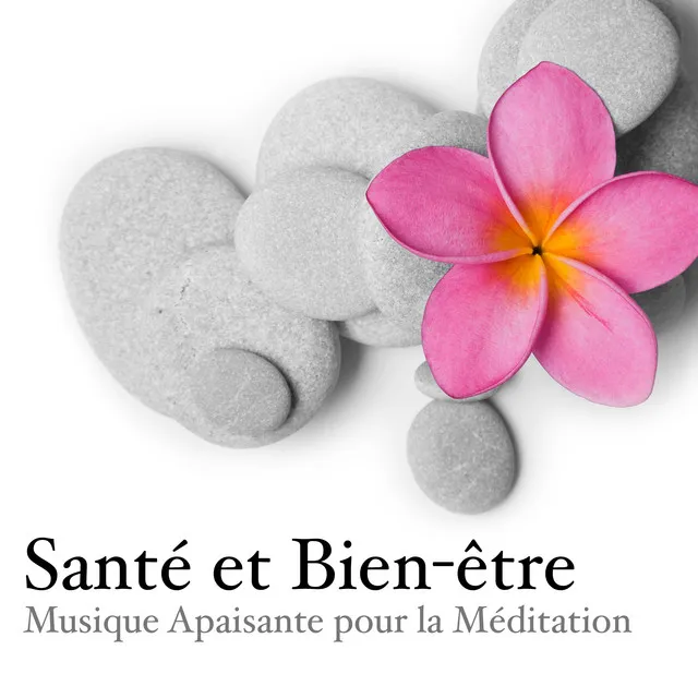 Santé et Bien-être: Musique Apaisante pour la Méditation et Technique de Relaxation