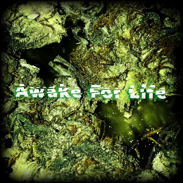 Awake For Life