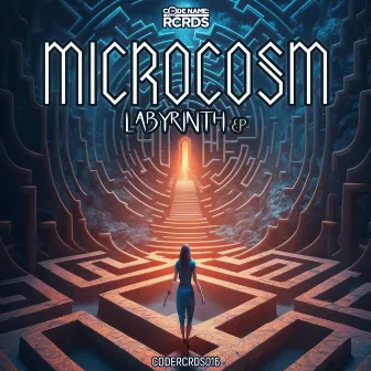 Labyrinth EP by Microcosm