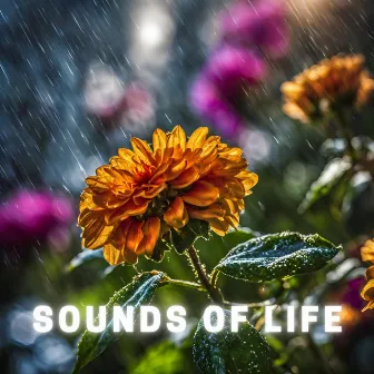 Sounds of Life by 