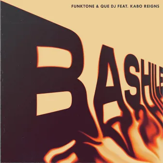 Bashile (feat. Kabo Reigns) by FunkTone