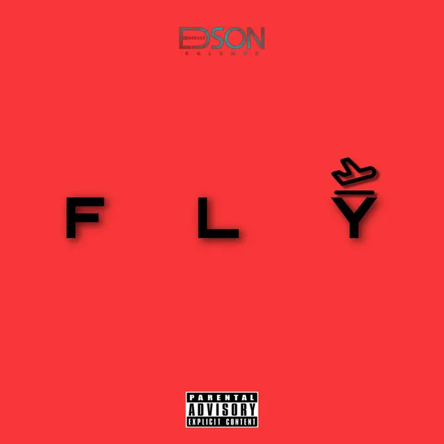 Fly