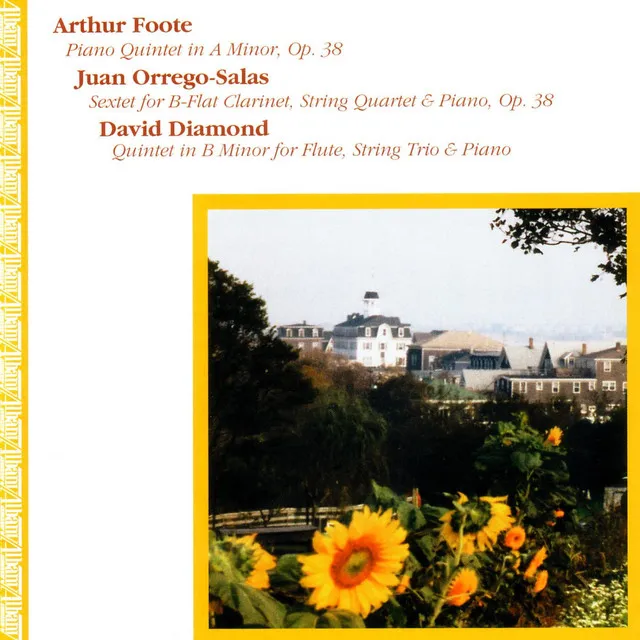 Quintet in B Minor for Flute, String Trio & Piano: Romanza