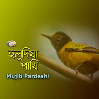 Holudia Pakhi by Mujib Pardeshi