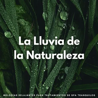 La Lluvia De La Naturaleza: Melodías Relajantes Para Tratamientos De Spa Tranquilos by Música de spa de día