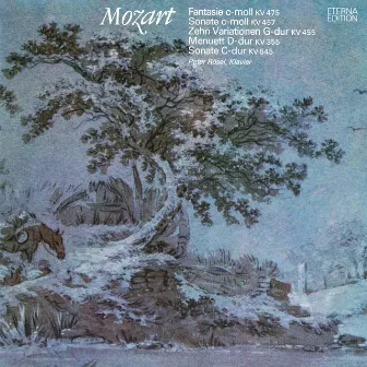 Mozart: Fantasie C-Moll, K. 475 / Klaviersonate No. 14 / Zehn Variationen, K. 455 / Menuett D-Dur / Klaviersonate No. 16 by Peter Rösel