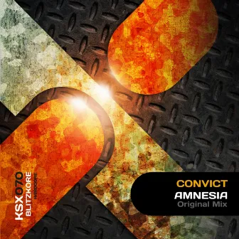 Amnesia by Convict