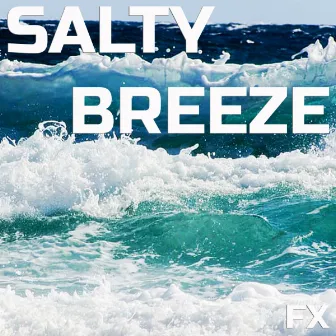 Salty Breeze FX by Geographic Soundscapes