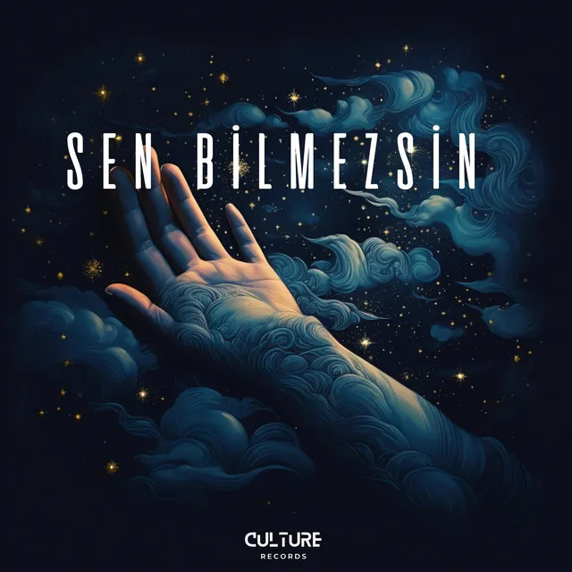 Sen Bilmezsin