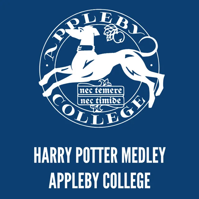 Harry Potter Medley