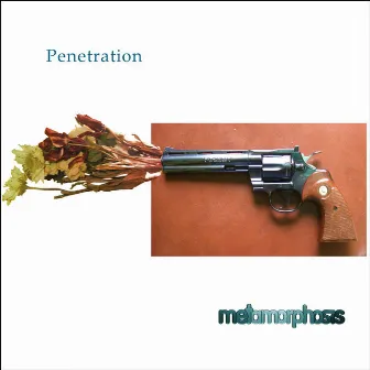 Penetration EP by Metamorphosis