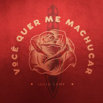 Você Quer Me Machucar by Julio Leme