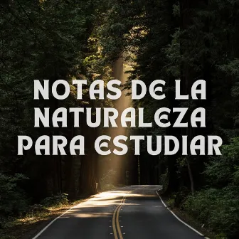 Notas de la Naturaleza para Estudiar by La red de música para estudiar