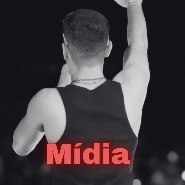 Mídia