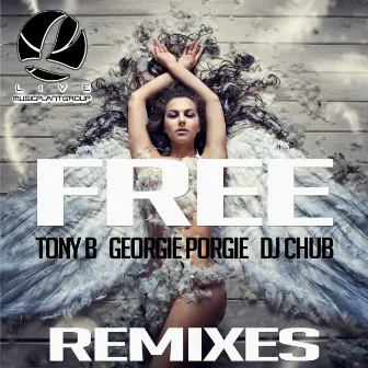 Free Remixes by Dj Chub