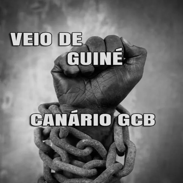 Veio de Guiné - Canário Gcb