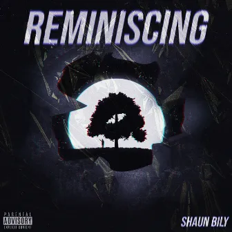 Reminiscing by Shaun Bily